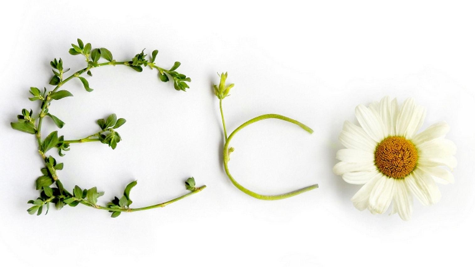 Eco Warrior? Not quite?  Tiny steps to making a difference.
