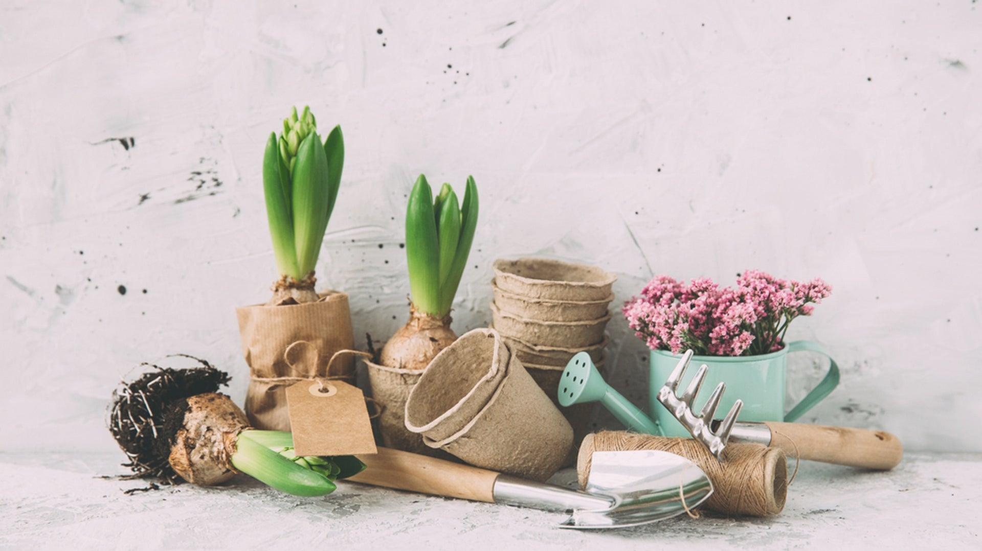 Feeling Blue?  Go for Green.  You’ll dig this…