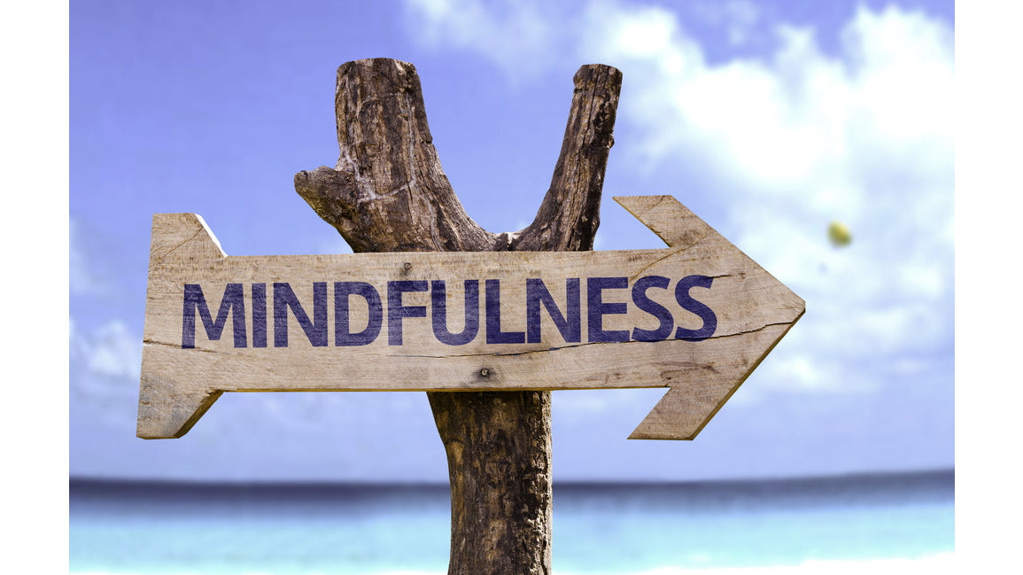 The Benefits of Mindfulness and Living in the Moment – 4 Easy Habits to Form.
