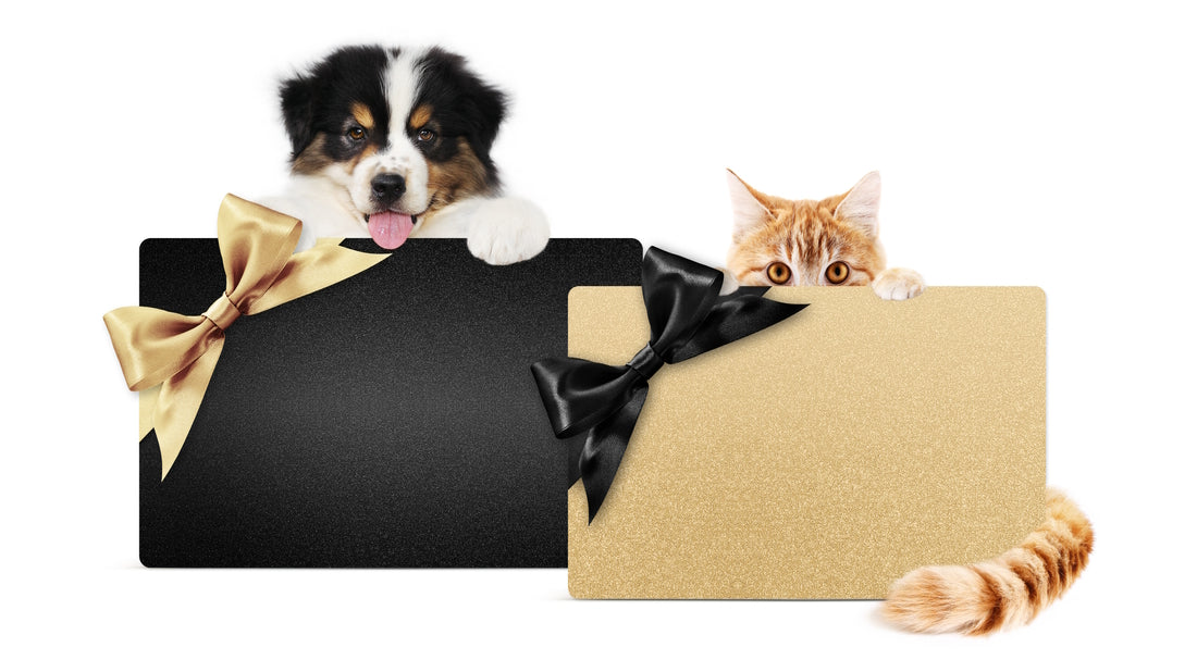 Celebrating National Pet Day: Cherishing Our Furry Friends and Promoting Their Well-being