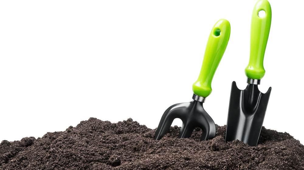 Spring has Sprung!  A Guide to Preparing Your Garden For the Warmer Weather.