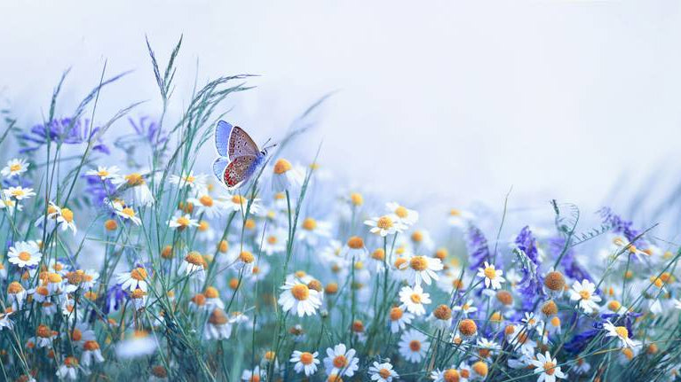 Decorating for Spring: How to deal with Spring Fever and the Perfect Spring Themed Gift boxes.