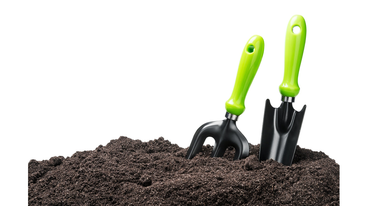 Get A  Spring in Your Step and Plan Your Garden.