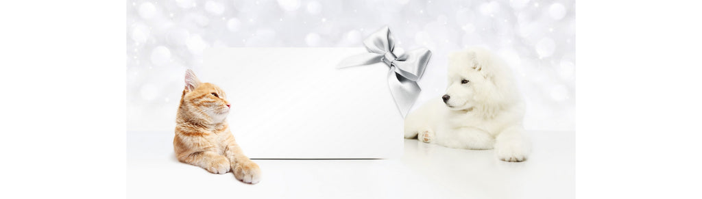 New Pet Owners: Top Tips! Top Gifts for Pets!