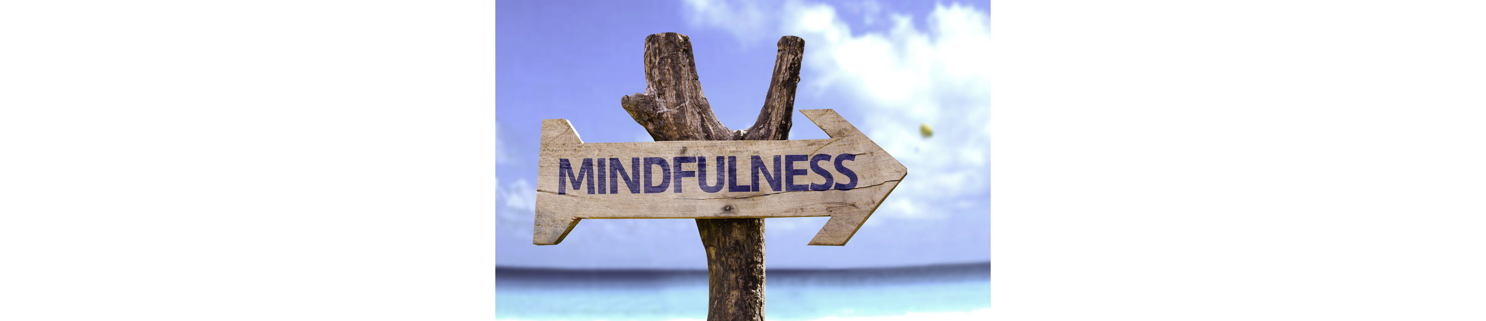 Mindfulness Exercises for Beginners