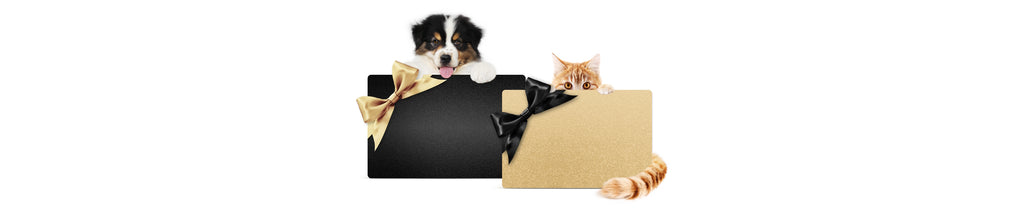 National Love Your Pet Day – Gift Box Treats for a Furry Friend